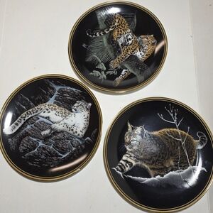 Plates Nature's Nighttime Realm Gregg Murray Hamilton Collection